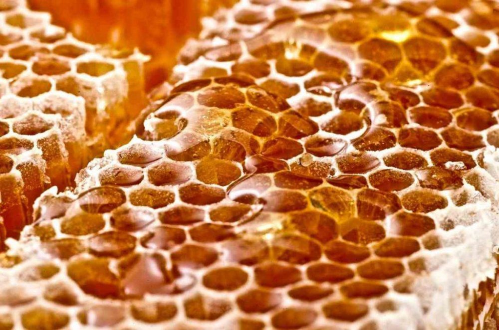 Μέλι και μέλισσες