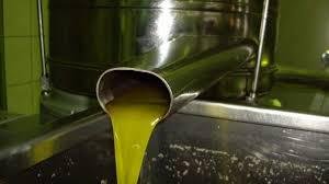 Olive and Olive oil