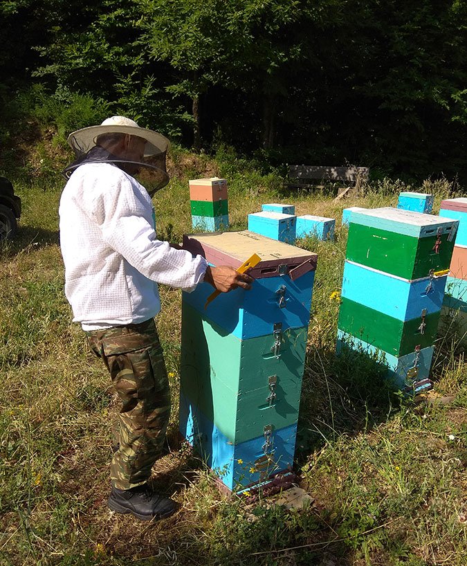 Chestnut tree honey